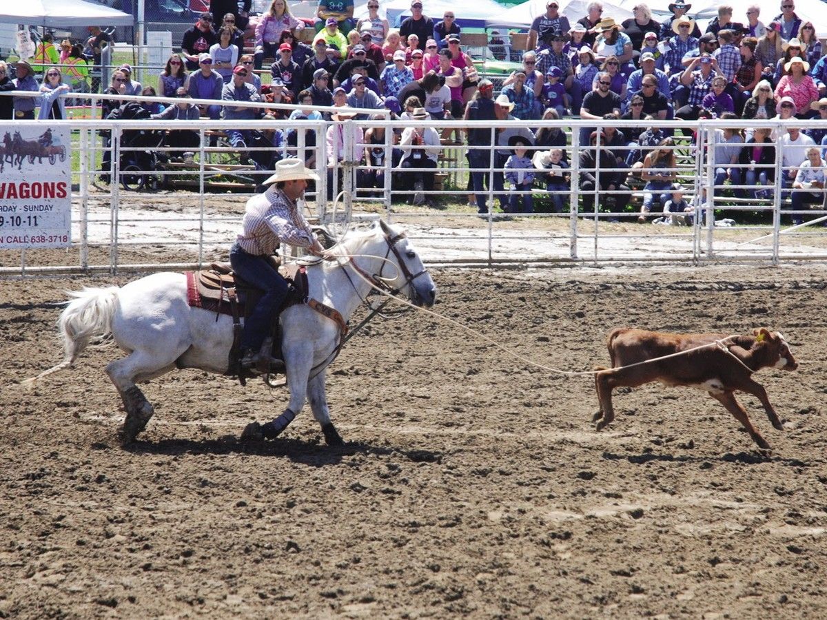 Sundre Pro Rodeo