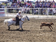Sundre Pro Rodeo