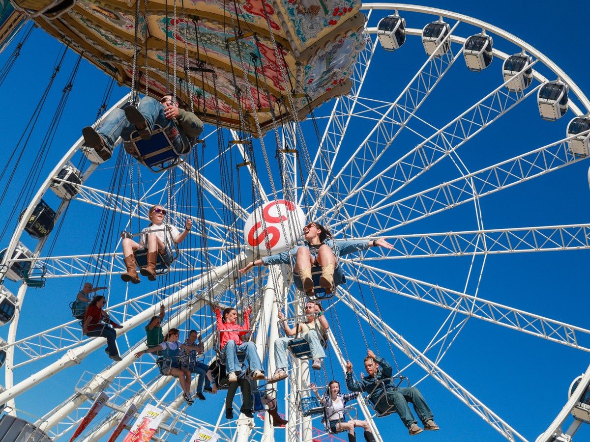 Stampede