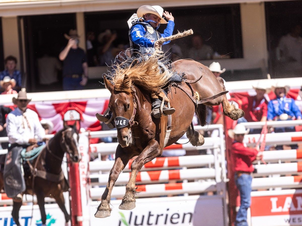 Ryder Wright rides Suspicious Minds