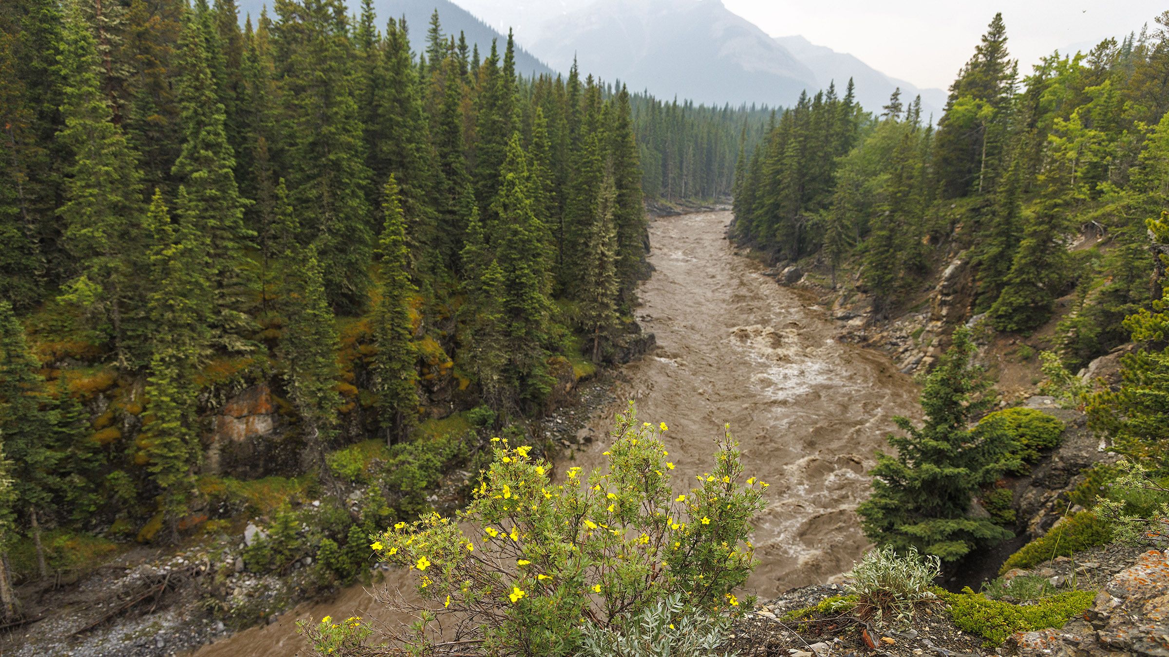 Sheep River