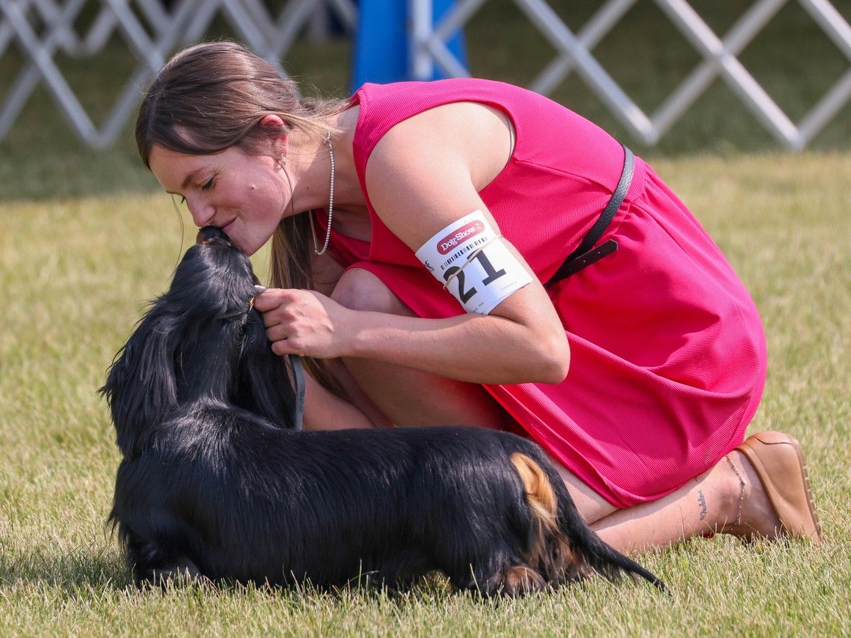Alberta Kennel Club Summer Classic
