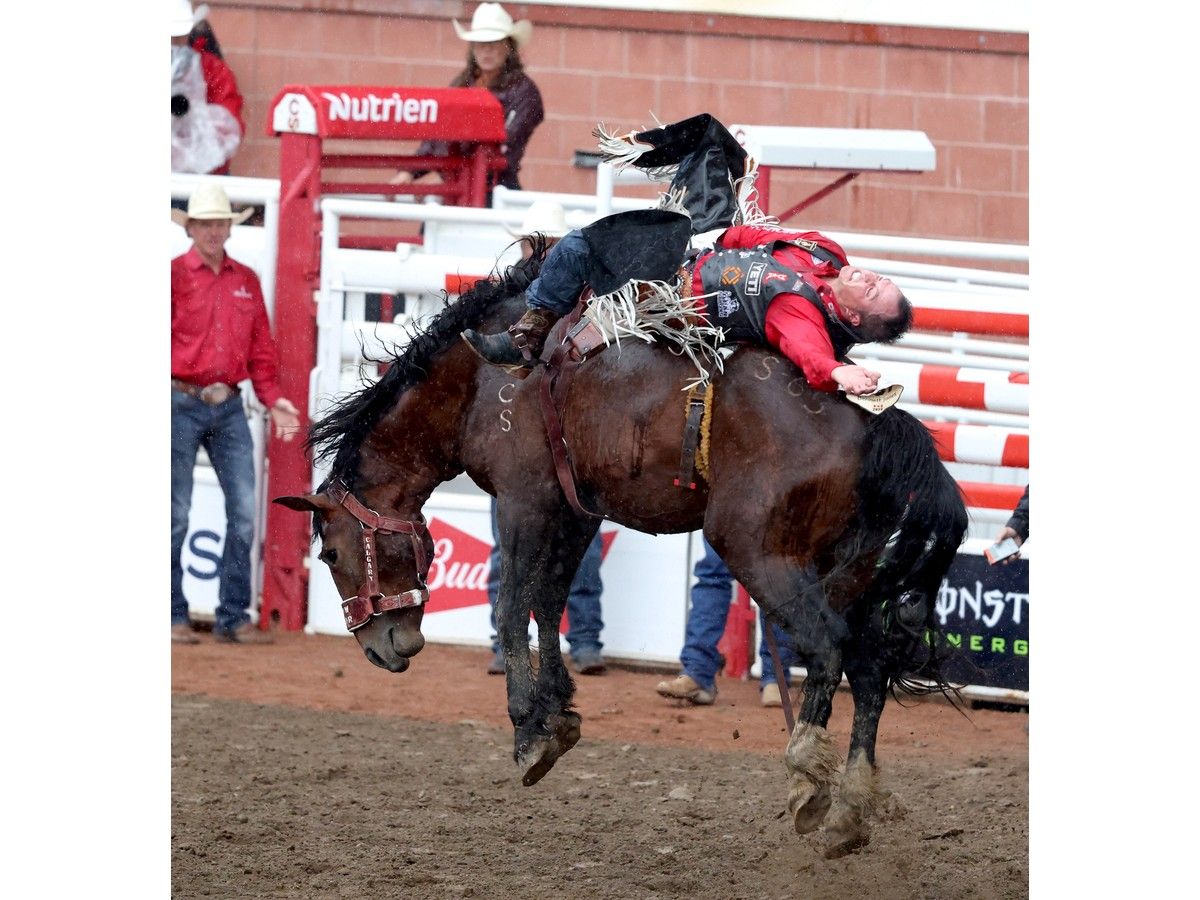 RODEO NOTES: Bareback rider Richmond Champion retires a winner, with a nod to the Calgary Stampede