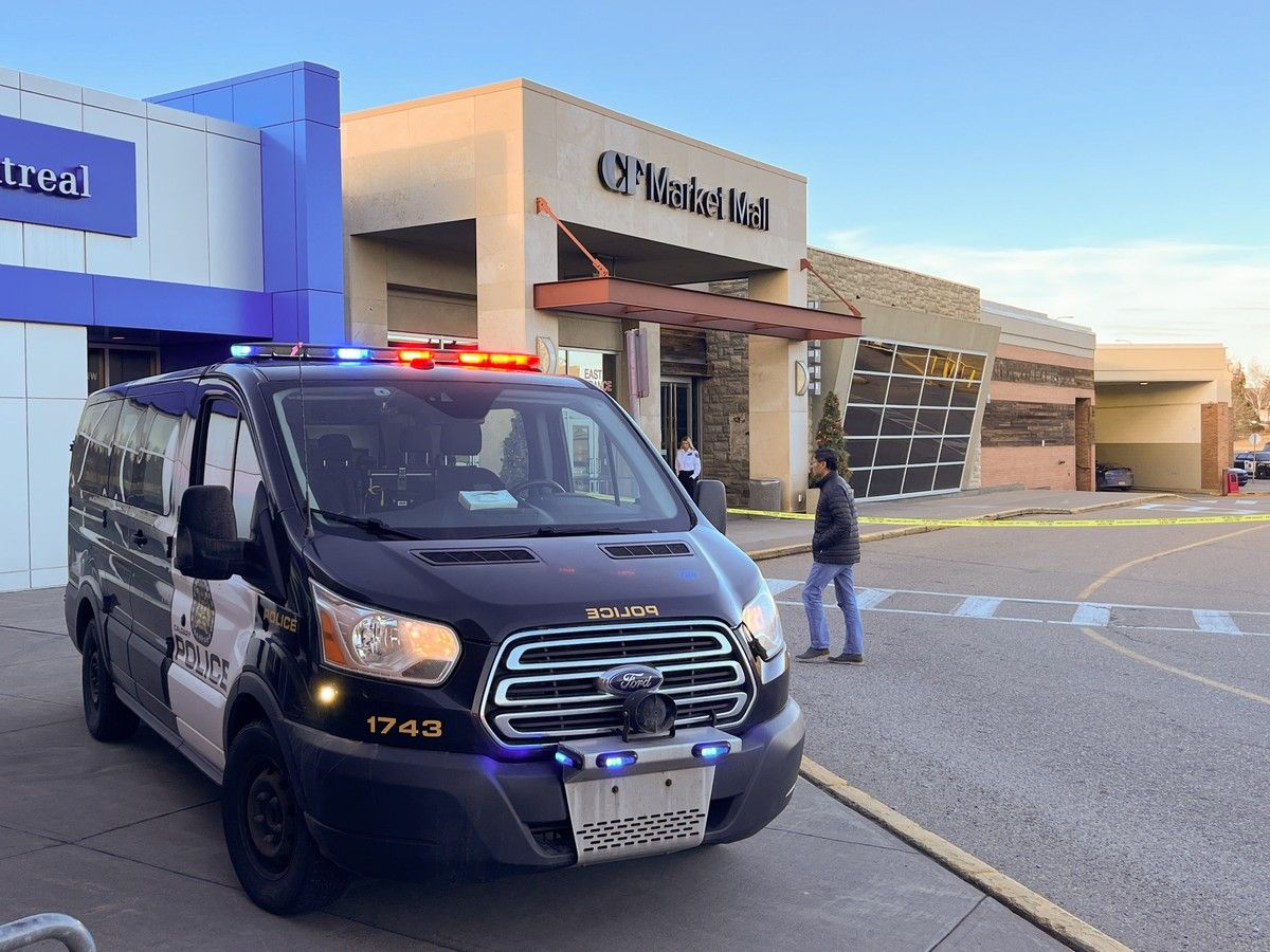 A teen and eight-year-old alleged to have snatched jewelry worth $4,000 while older family members distracted employees.