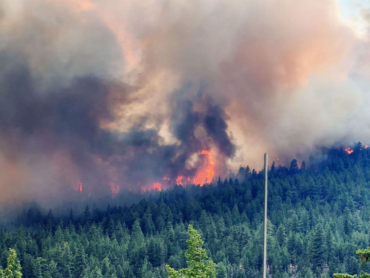 Bald Range Fire in B.C.