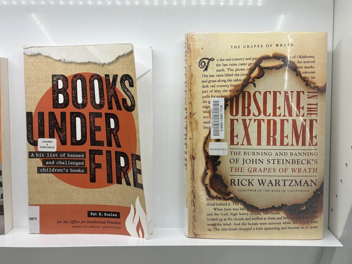 Alberta library book ban