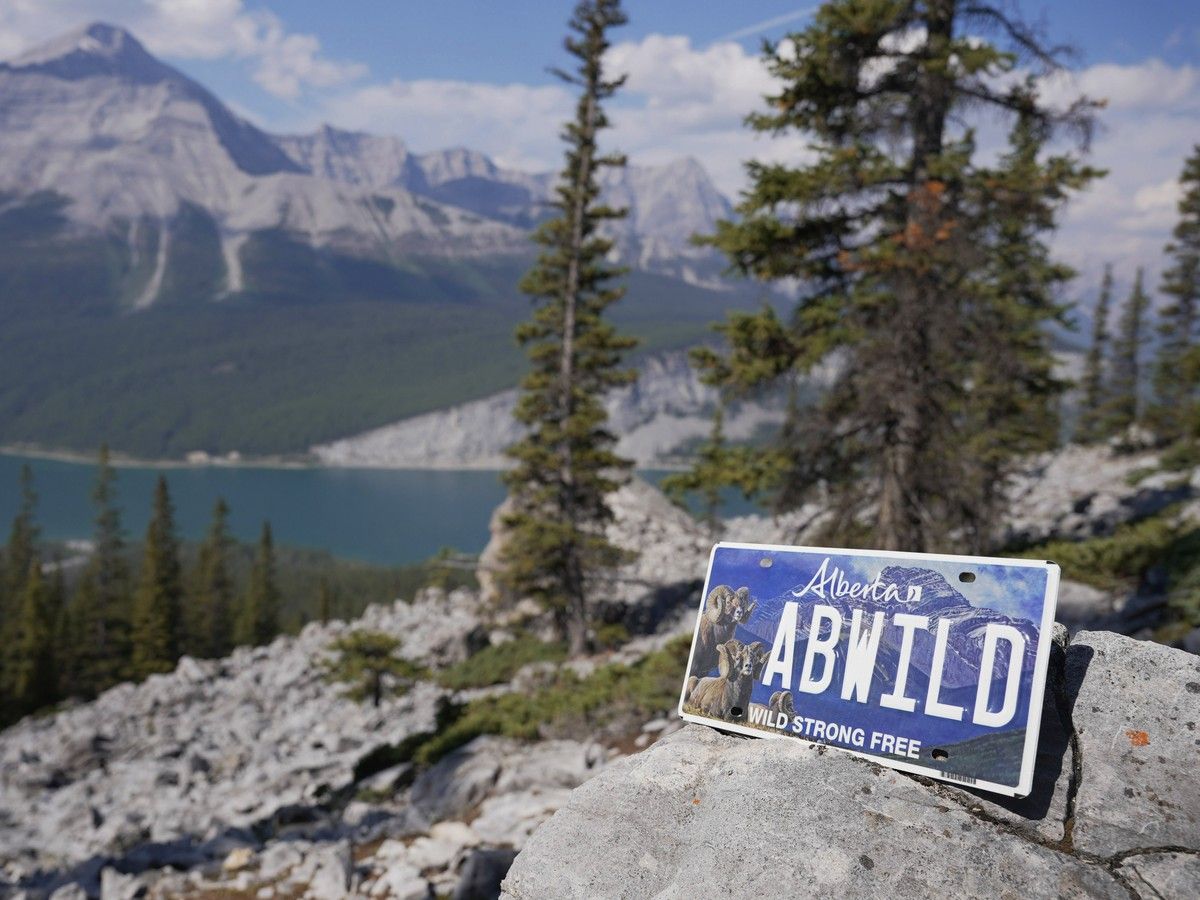 Province unveils wildlife licence plate to fund conservation