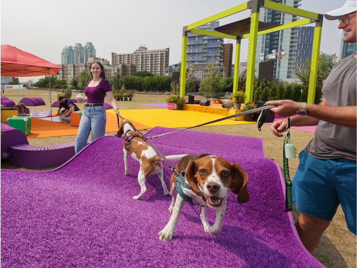 Calgary’s creative talent celebrated with return of Design Week