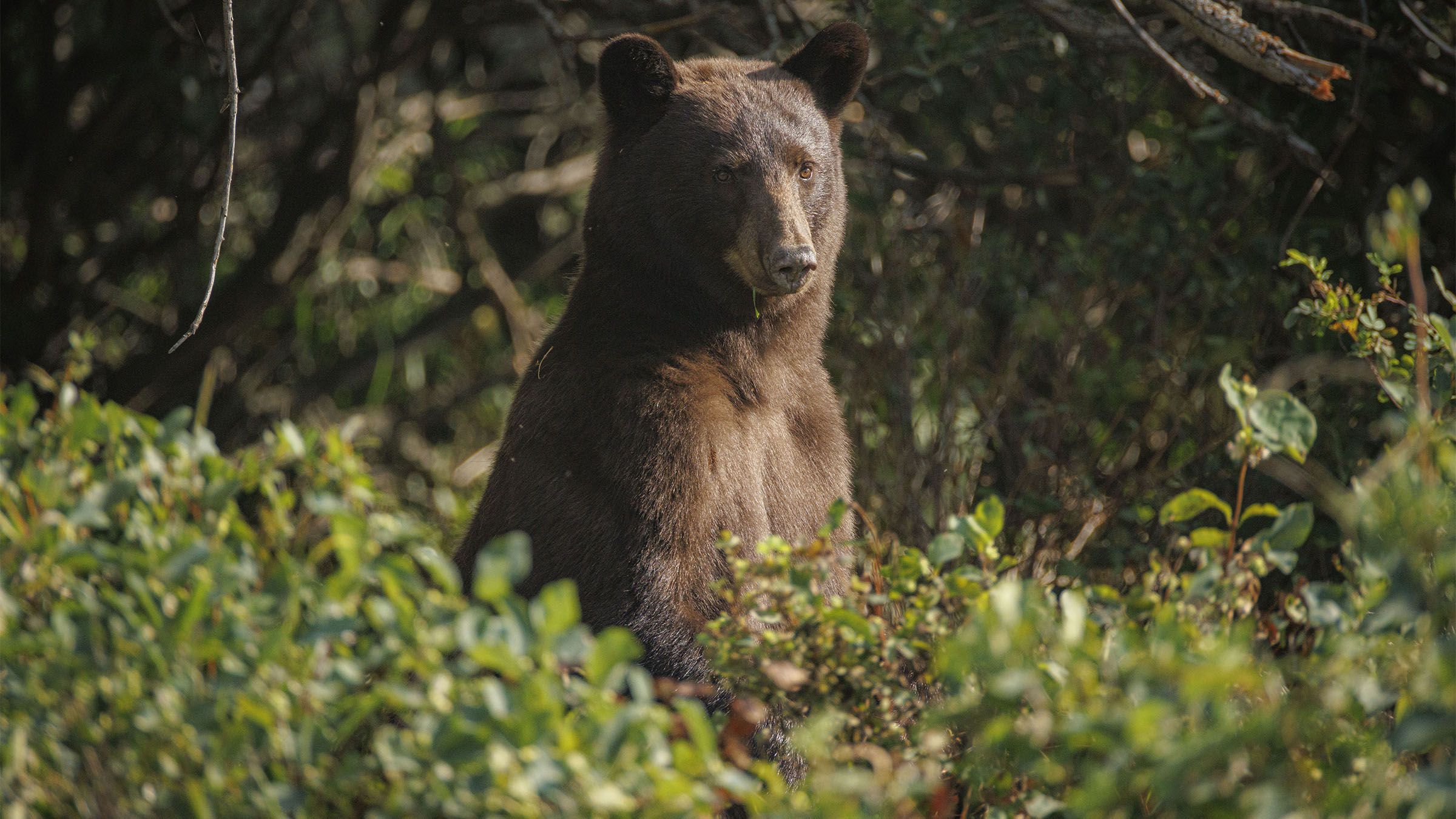 On the Road: Late start to the day bears well