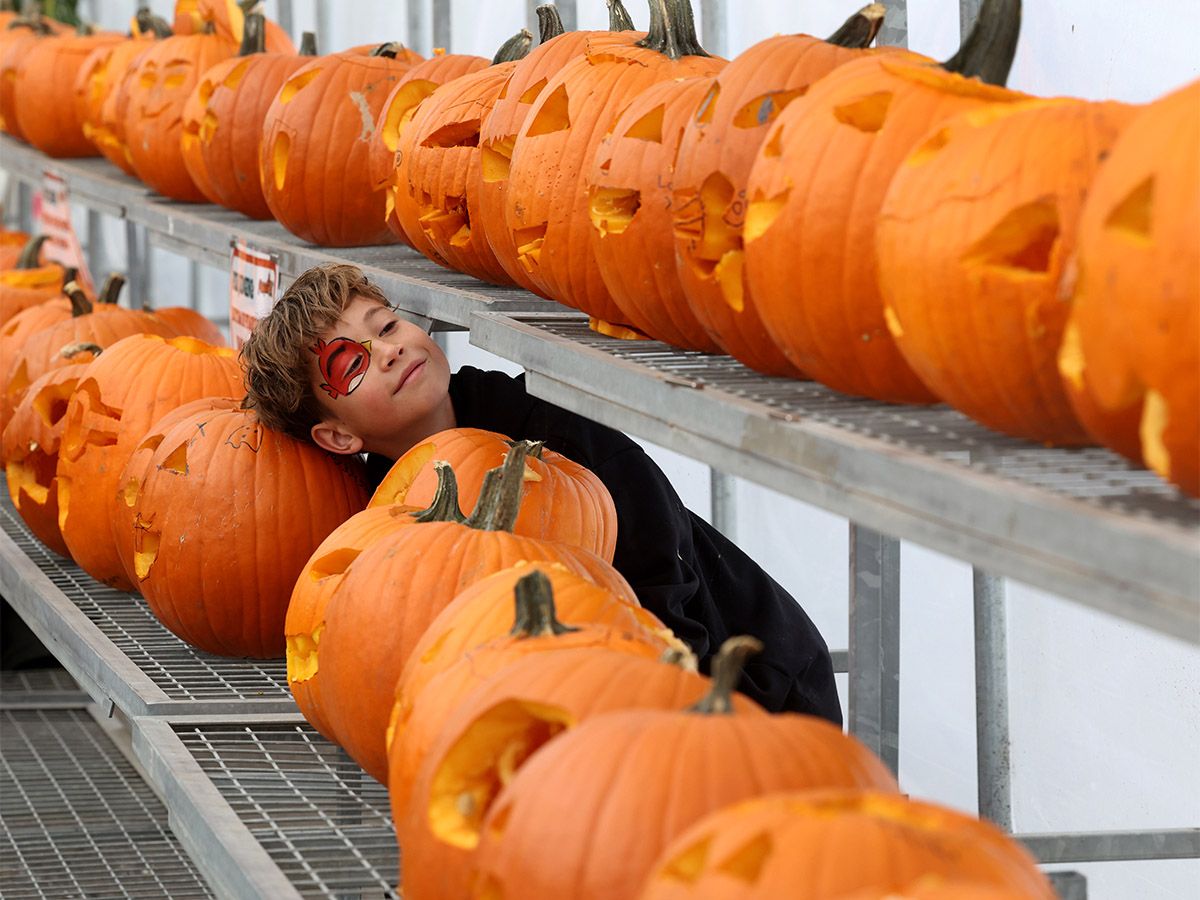 Blue Grass Garden Centre's 2026 Pumpkin Fest