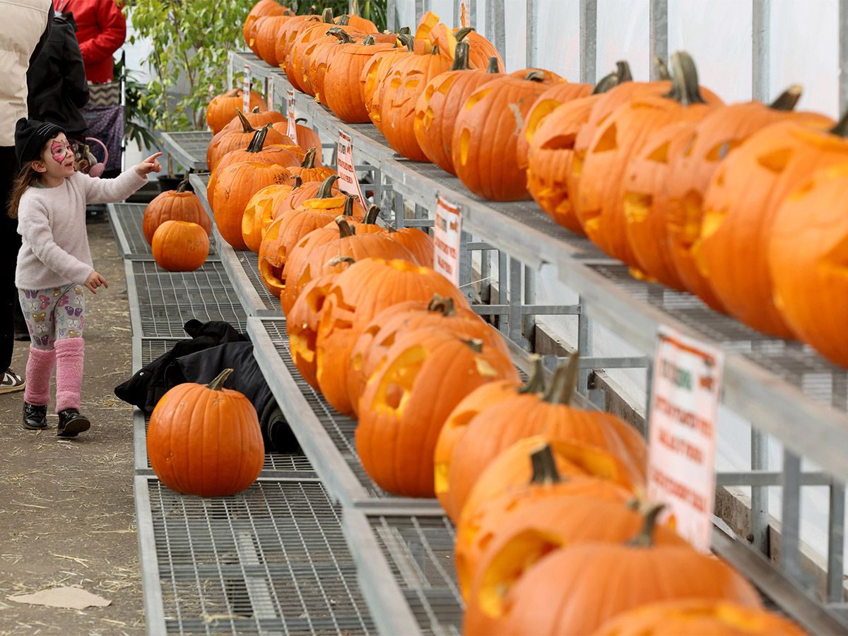 Blue Grass Garden Centre's 2026 Pumpkin Fest