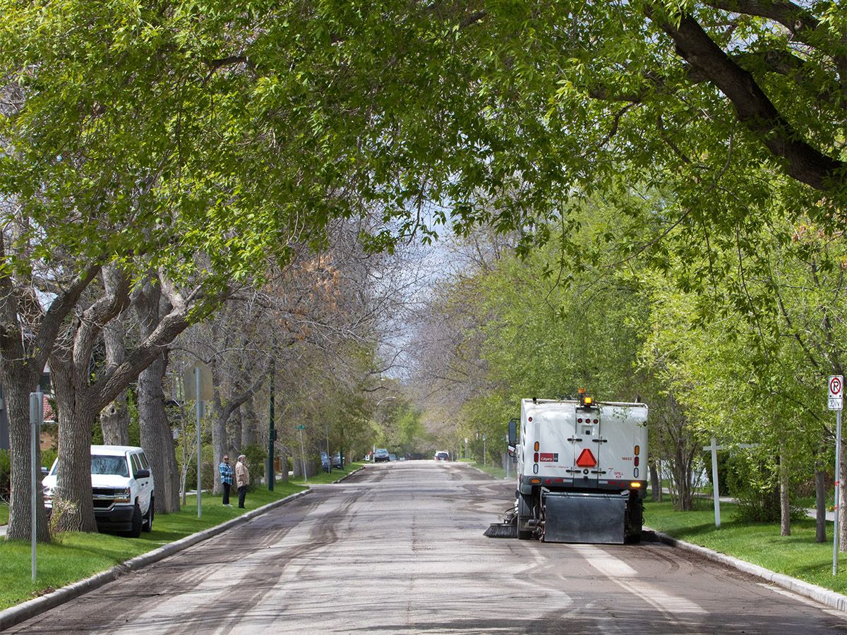 Council committee considers $54-million capital budget request to bolster public tree removal, replacement