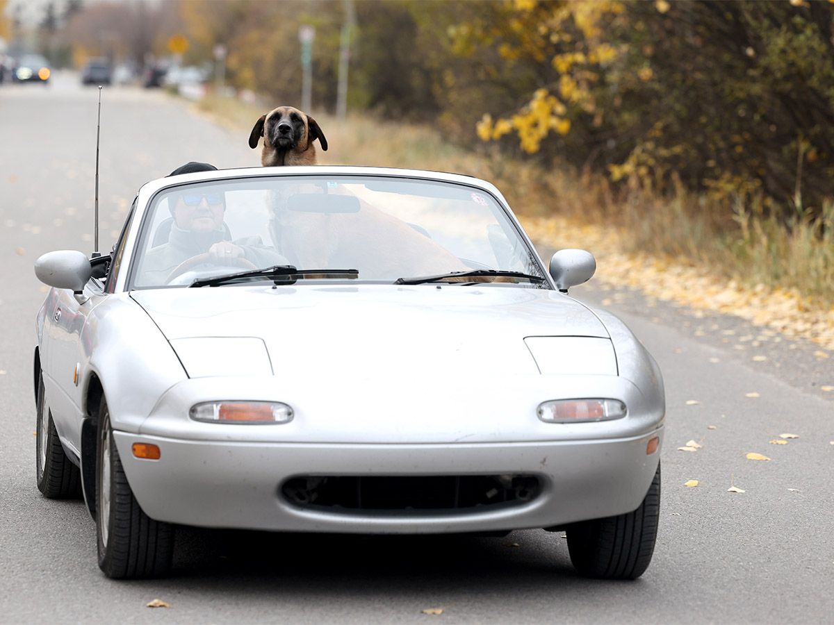 Enjoying the Calgary fall weather, riding with the roof down
