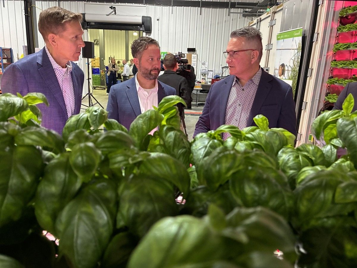 Men at Alberta produce growing facility