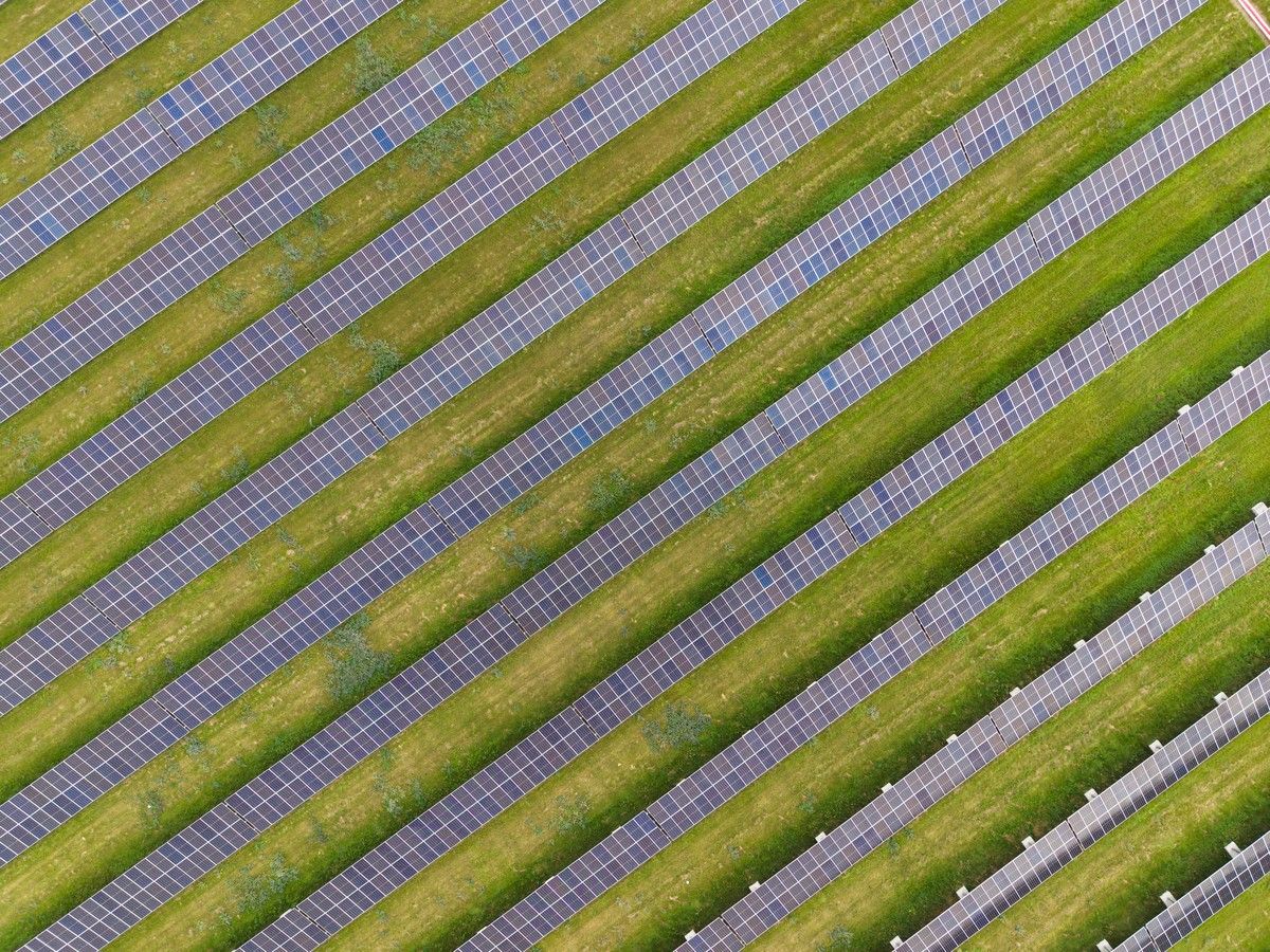 'A punitive tax': Alberta to impose $14 solar recycling fee, as industry group warns of $1M hit to projects