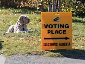Alberta referendum advance voting