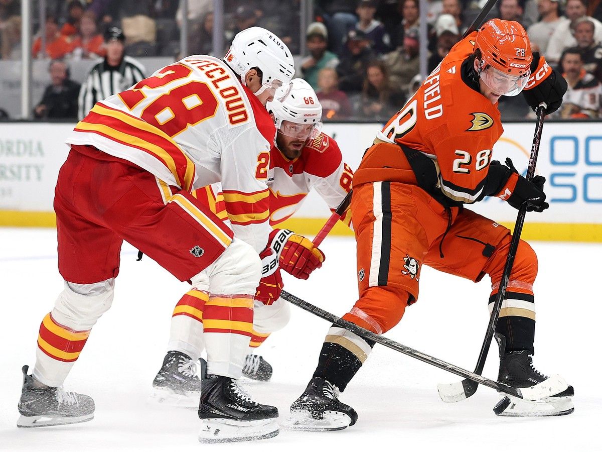 Calgary Flames vs. Colorado Avalanche