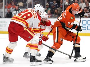 Calgary Flames vs. Colorado Avalanche
