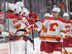 Calgary Flames vs. Anaheim Ducks
