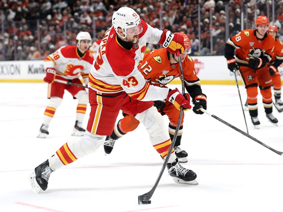 Calgary Flames vs. Anaheim Ducks