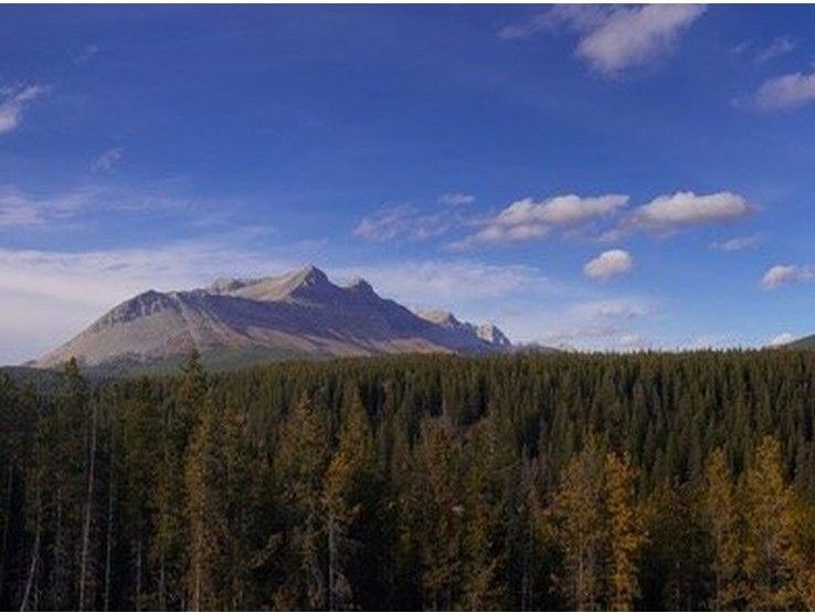 Standoff at Deadman Pass pits citizens against loggers and its own government
