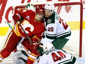 Calgary Flames vs. Minnesota Wild