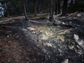 Wildfire