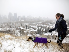 Elaina Duska takes her dog Willow for a walk along a snowy Crescent Road in Calgary on Thursday November 2, 2017. Leah Hennel/Postmedia