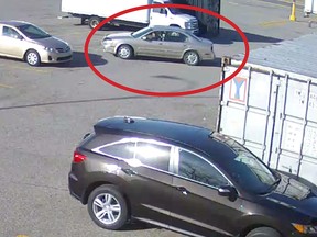 This image is from surveillance video that showed someone driving into the hotel parking lot and leaving a travel kennel containing a dead Boston Terrier behind a dumpster.