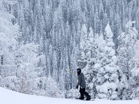 Skiers and snowboarders were rejoicing being back on the slopes during opening weekend at Nakiska, the alpine resort in Kananaskis west of Calgary. Al Charest/Postmedia