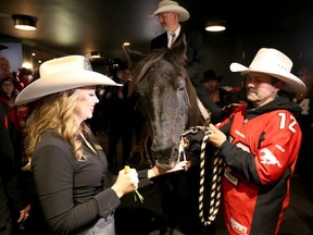 Bill Lundigan, Chairman of the Calgary Grey Cup, rides Tuffy into the Metcalfe Hotel in downtown Ottawa Friday (Nov. 24, 2017) night, where the horse was officially checked in by desk clerk Waylan Smith. Each year for the Grey Cup, Calgarians bring a horse to the host city - a tradition that dates back 69 years.