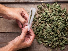 Marijuana buds and hande meking joint