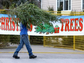 Cameron Koch walks away from the Bowness Scout and Lions Hall Tree Lot with a tree in Calgary as the warm weather seems to be sticking around on Saturday December 9, 2017. Darren Makowichuk/Postmedia