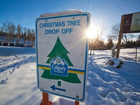 A sign identifies the Christmas Tree drop off location in Confederation Park in Calgary on Boxing Day 2016. GAVIN YOUNG/POSTMEDIA