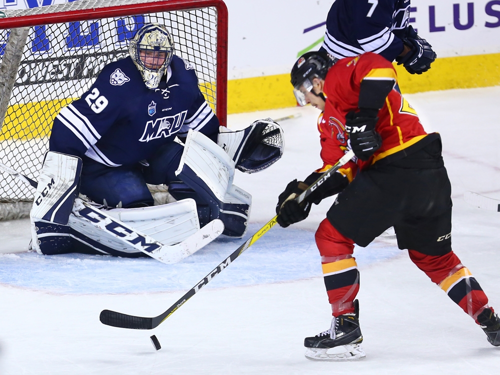 Calgary Dinos men one point away from clinching hockey playoff spot ...