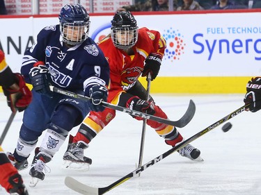 The Mount Royal University Cougars' Rachel Pitz and the University of Calgary Dinos' Tori Stebnitsky eye a bouncing puck during the Crowchild Classic at the Scotiabank Saddledome in Calgary, Thursday January 25, 2018.