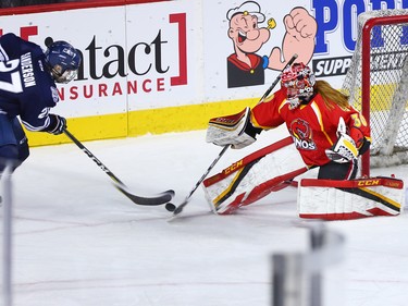 The Mount Royal University Cougars' Andrea Sanderson wasn't able to get this shot past the University of Calgary Dinos goalie Kelsey Roberts during the Crowchild Classic at the Scotiabank Saddledome in Calgary, Thursday January 25, 2018.
