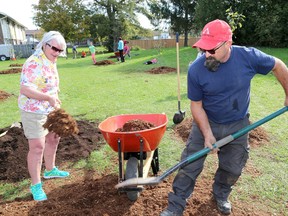 Tree planting, Tree Canada, Community Response to Neighbourhood Concerns, Rideau Heights Public School.