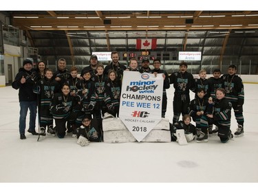 Simons Valley 9 won the Pee Wee 12 division at Esso Minor Hockey Week.