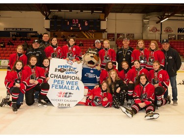 GHC 1 Silver captured the Pee Wee Girls A division at Esso Minor Hockey Week.