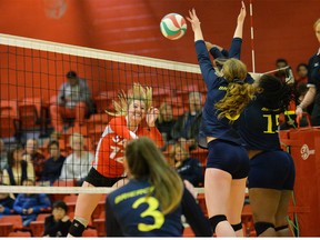 SAIT's Jayden Roch fires the ball over the net during her team's loss to Briercrest College on Friday.