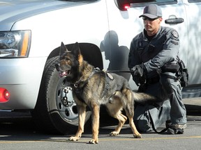 Police Service Dog Baro with handler Sgt. Derek Klassen. Colleen De Neve/Postmedia File