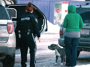 A City of Calgary Peace Officer prepares to take away a dog from a woman following a dog bite incident near Radcliffe Cr SE about 6 pm in Calgary on  Tuesday, February 27, 2018. A young boy and his mother were taken to hospital with non-threatening dog bite injuries. Good samaritans separated the dog from the boy and comforted him before EMS arrived. Witnesses said the dog didn't appear to be from the immediate area. Jim Wells/Postmedia
