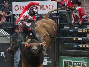 Canadian Brock Radford rides Gangster Can Do during the final night of PBR Global Cup at Rogers Place in Edmonton on Saturday Nov. 11, 2017.  (John Lucas/ Edmonton Journal) Photos for copy in Sunday, Nov. 12 edition.