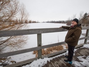 Somerset resident Barry Zebkowitz stands near a wetlands which may have something to do with storm drains in his neighbourhood which are releasing strong rotten egg smells. The same strong gases are also coming up through drains in homes in the area causing health worries. Zebkowitz was photographed on Saturday March 17, 2018. Gavin Young/Postmedia