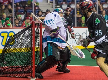 The Calgary Roughnecks' Mitch Wilde scores on Rochester Knighthawks goaltender Matt Vinc during NLL action at the Scotiabank Saddledome in Calgary on Saturday March 17, 2018.
