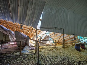A large section of the roof of the indoor arena at JM Equestrian east of Okotoks collapsed likely due to snow load. There were no injuries in the collapse. The arena was photographed on Tuesday March 20, 2018.  Gavin Young/Postmedia