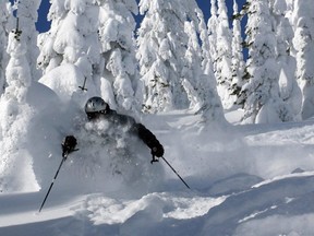 A skier enjoys the lower trees off Hellroaring Peak at Whitefish Mountain Resort in Montana.