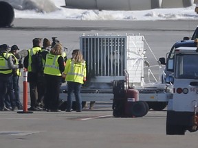 The arrival of four giant pandas at the Calgary International airport on Friday March 23, 2018. Leah Hennel/Postmedia