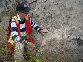 Michael Wilson examining a 7600-year-old volcanic ash deposit along the Highwood River following the 2013 flood.